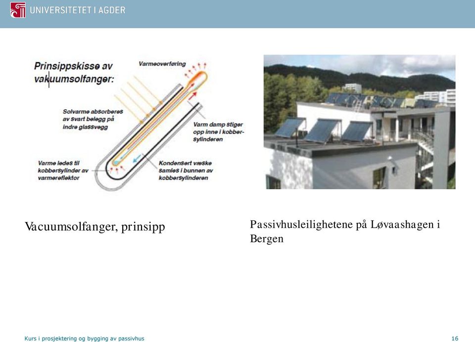 Løvaashagen i Bergen Kurs i