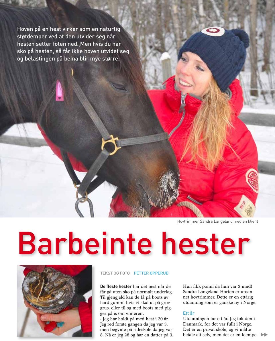 Hovtrimmer Sandra Langeland med en klient Barbeinte hester Tekst og foto petter opperud De fleste hester har det best når de får gå uten sko på normalt underlag.