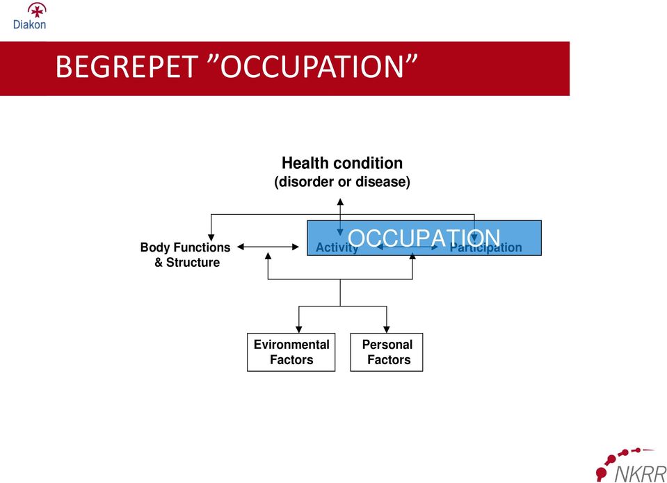 Structure Activity OCCUPATION