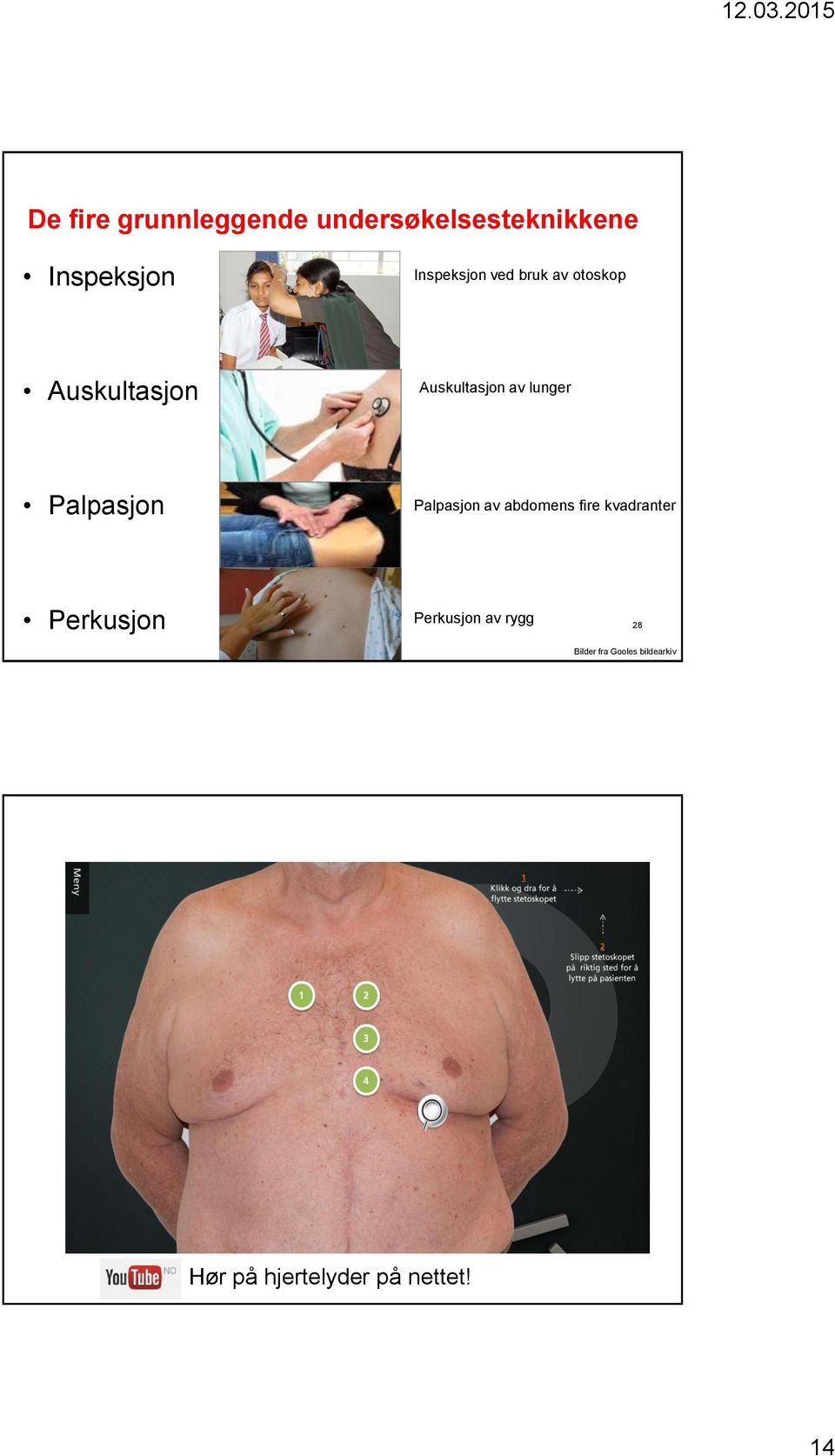 lunger Palpasjon Palpasjon av abdomens fire kvadranter Perkusjon