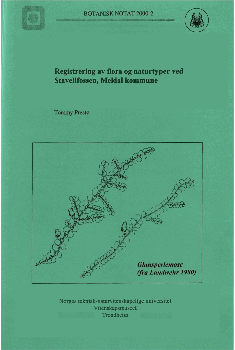 Norges teknisk-naturvitenskapelige