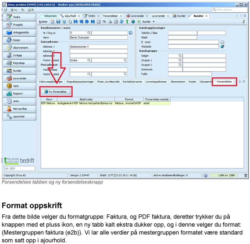 en ny tabb kalt ekstra dukker opp, og i denne velger du format: (Mestergruppen faktura