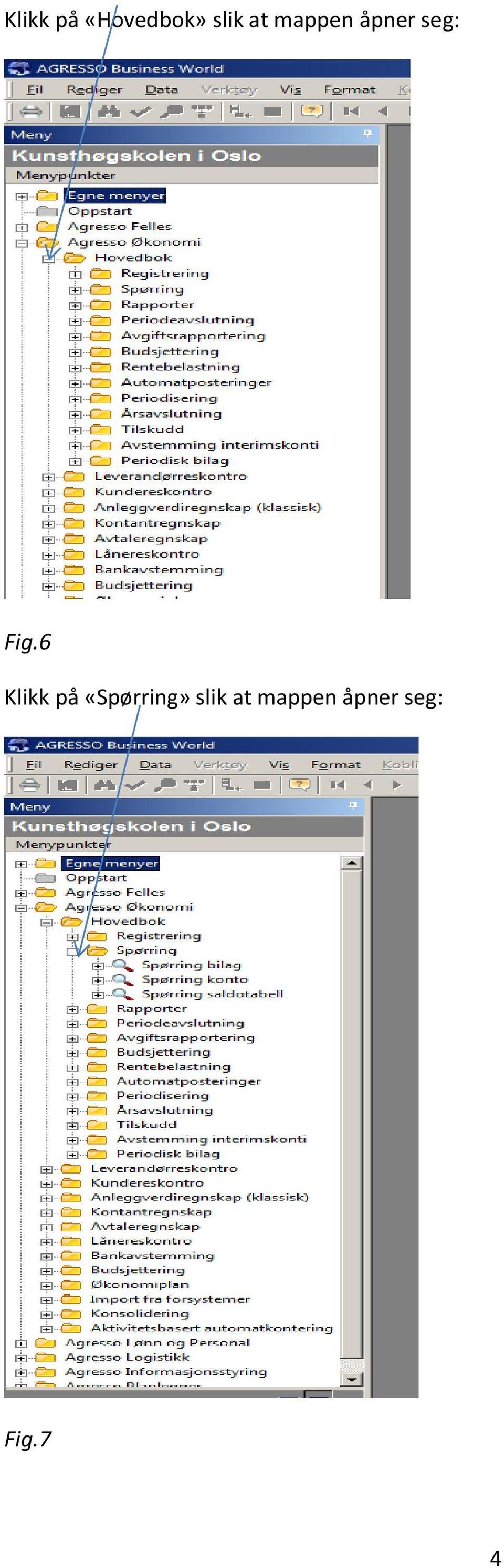 6 Klikk på «Spørring» slik