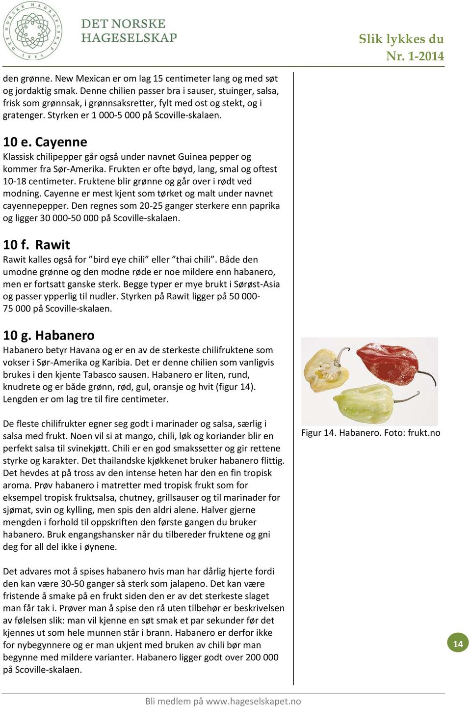 Cayenne Klassisk chilipepper går også under navnet Guinea pepper og kommer fra Sør-Amerika. Frukten er ofte bøyd, lang, smal og oftest 10-18 centimeter.