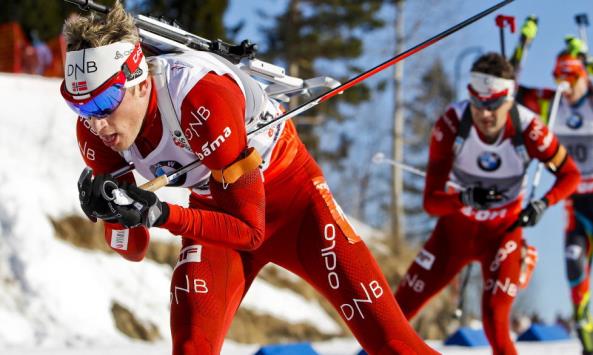 Korrupsjonsformer i kommunale roller Bestikkelser Bidrag