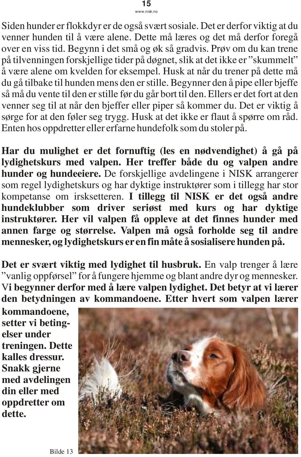 Husk at når du trener på dette må du gå tilbake til hunden mens den er stille. Begynner den å pipe eller bjeffe så må du vente til den er stille før du går bort til den.