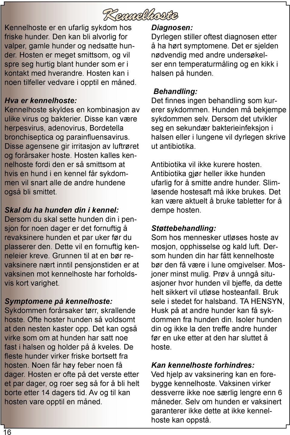 Hva er kennelhoste: Kennelhoste skyldes en kombinasjon av ulike virus og bakterier. Disse kan være herpesvirus, adenovirus, Bordetella bronchiseptica og parainfluensavirus.