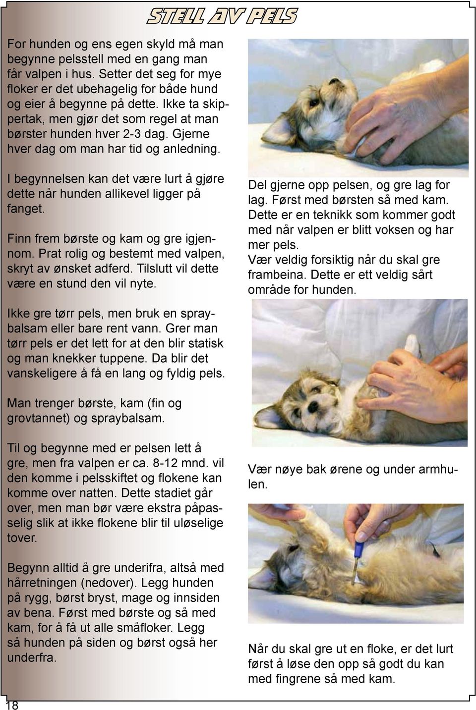 I begynnelsen kan det være lurt å gjøre dette når hunden allikevel ligger på fanget. Finn frem børste og kam og gre igjennom. Prat rolig og bestemt med valpen, skryt av ønsket adferd.