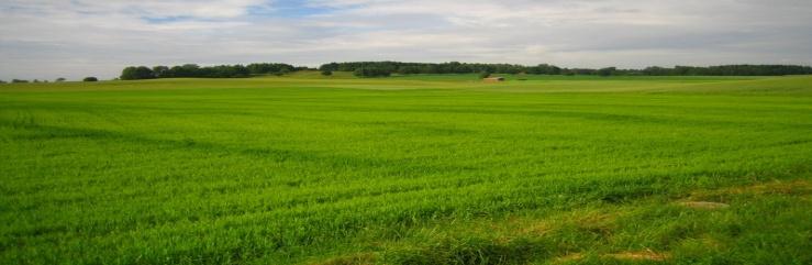 Variasjonen i avrenningen kan uttrykkes gjennom en flashiness indeks day; FI