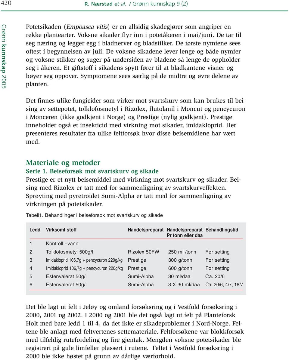 De voksne sikadene lever lenge og både nymfer og voksne stikker og suger på undersiden av bladene så lenge de oppholder seg i åkeren.