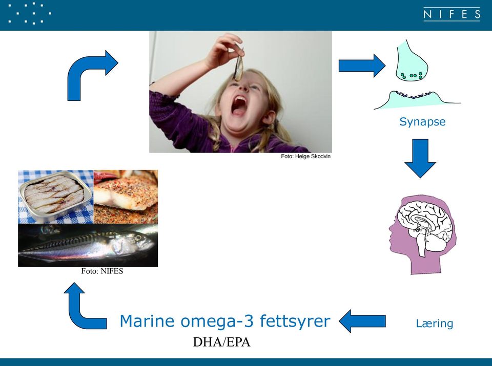 Marine omega-3