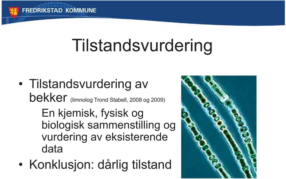 kjemisk, fysisk og biologisk sammenstilling og