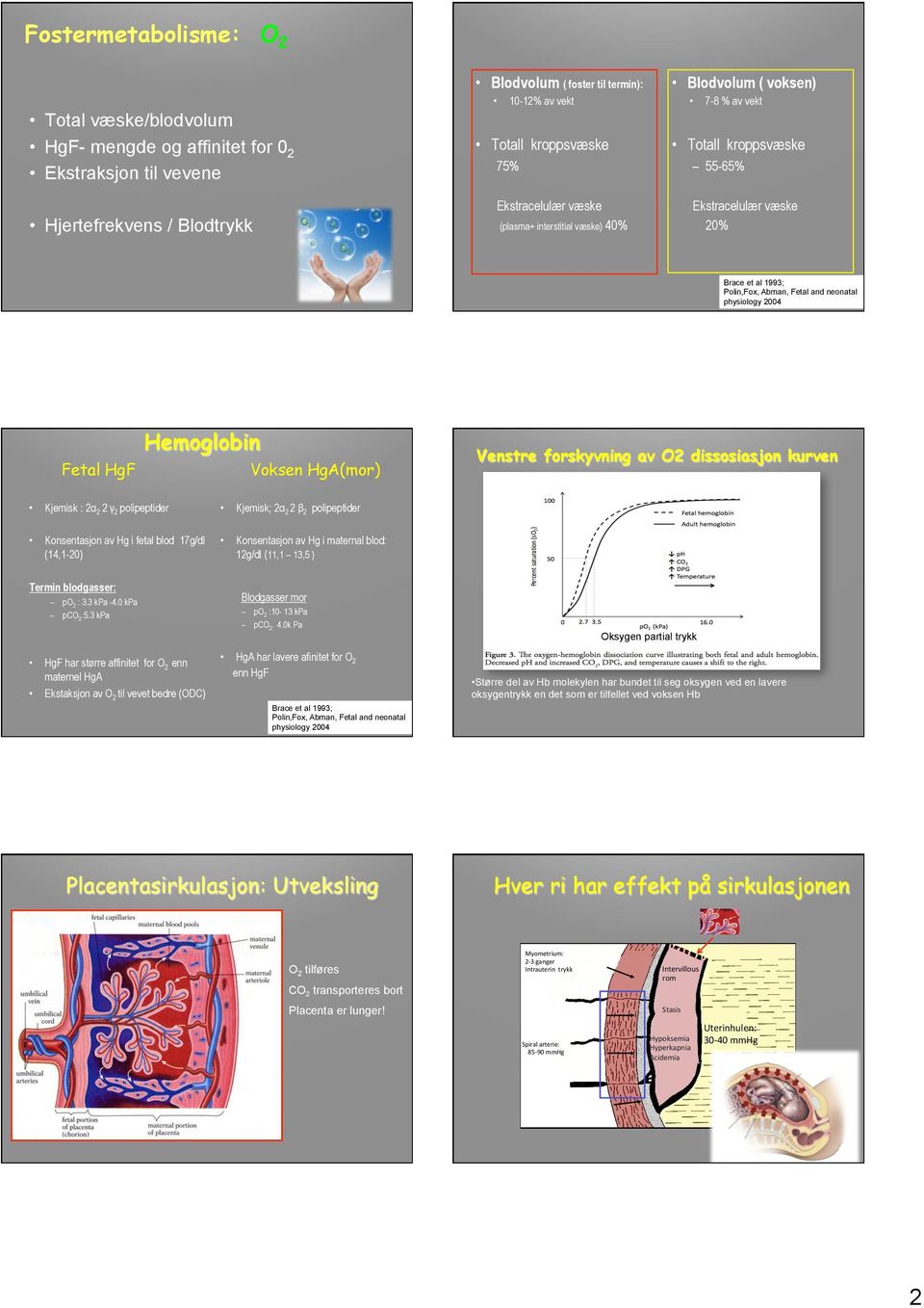 physiology 2004 Fetal HgF Hemoglobin Voksen HgA(mor) Venstre forskyvning av O2 dissosiasjon kurven Kjemisk : 2α 2 2 γ 2 polipeptider Konsentasjon av Hg i fetal blod 17g/dl (14,1-20) Kjemisk; 2α 2 2 β