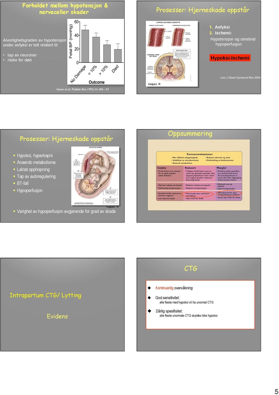 Pediatr Res 1992;31:486-91 Halpen R Prosesser: Hjerneskade oppstår Oppsummering Hypoksi, hyperkapni Anaerob metabolisme Laktat opphopning Tap av autoregulering BT-fall Hypoperfusjon