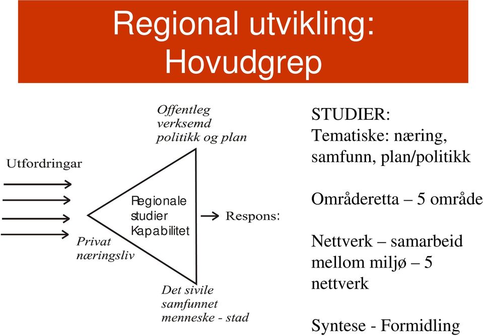 studier Kapabilitet Områderetta 5 område Nettverk
