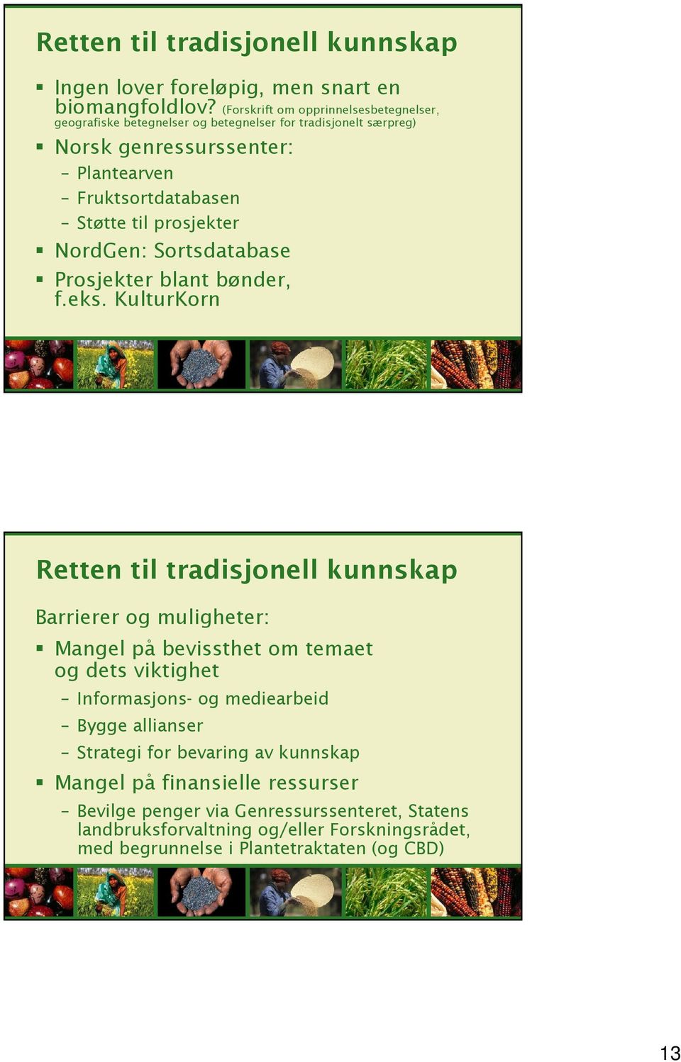 prosjekter NordGen: Sortsdatabase Prosjekter blant bønder, f.eks.