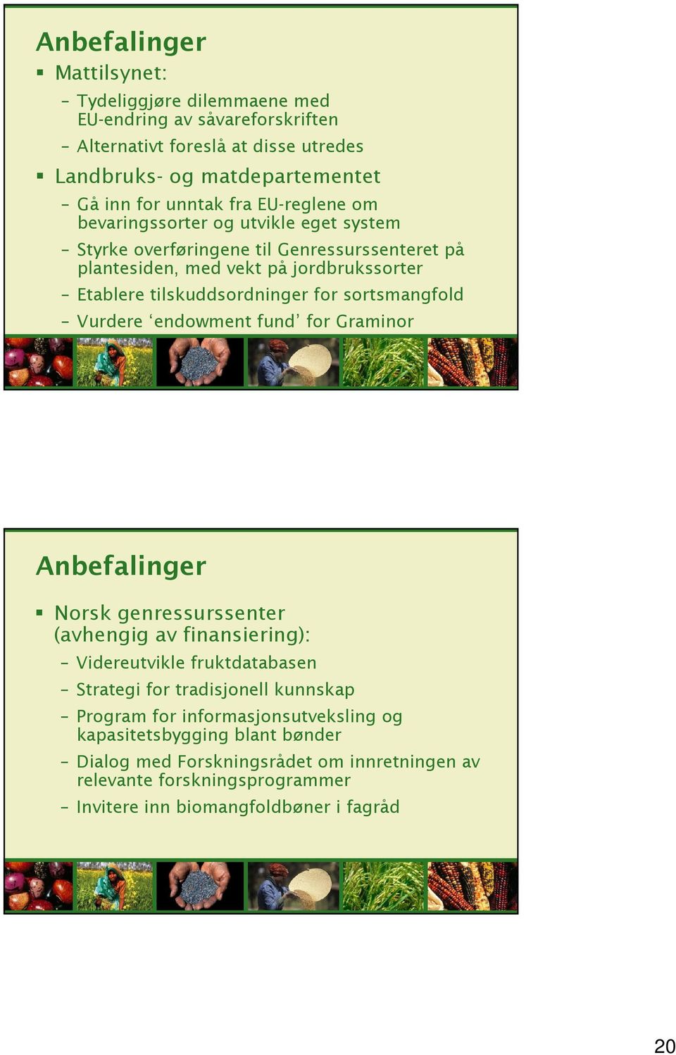 sortsmangfold Vurdere endowment fund for Graminor Anbefalinger Norsk genressurssenter (avhengig av finansiering): Videreutvikle fruktdatabasen Strategi for tradisjonell kunnskap