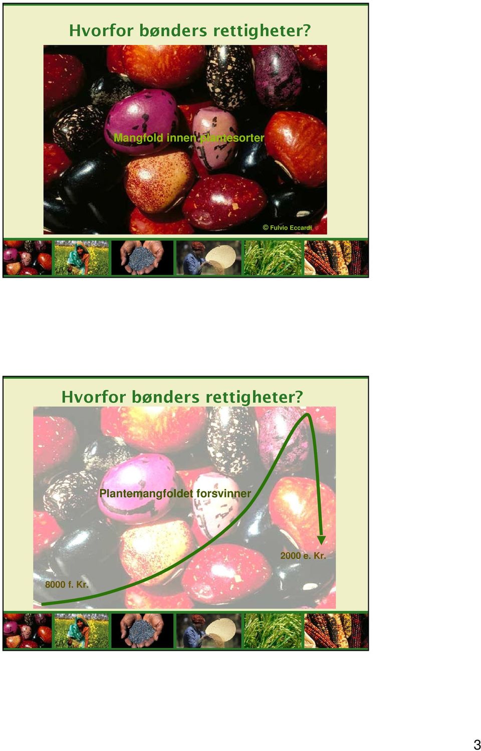 Eccardi  Plantemangfoldet forsvinner