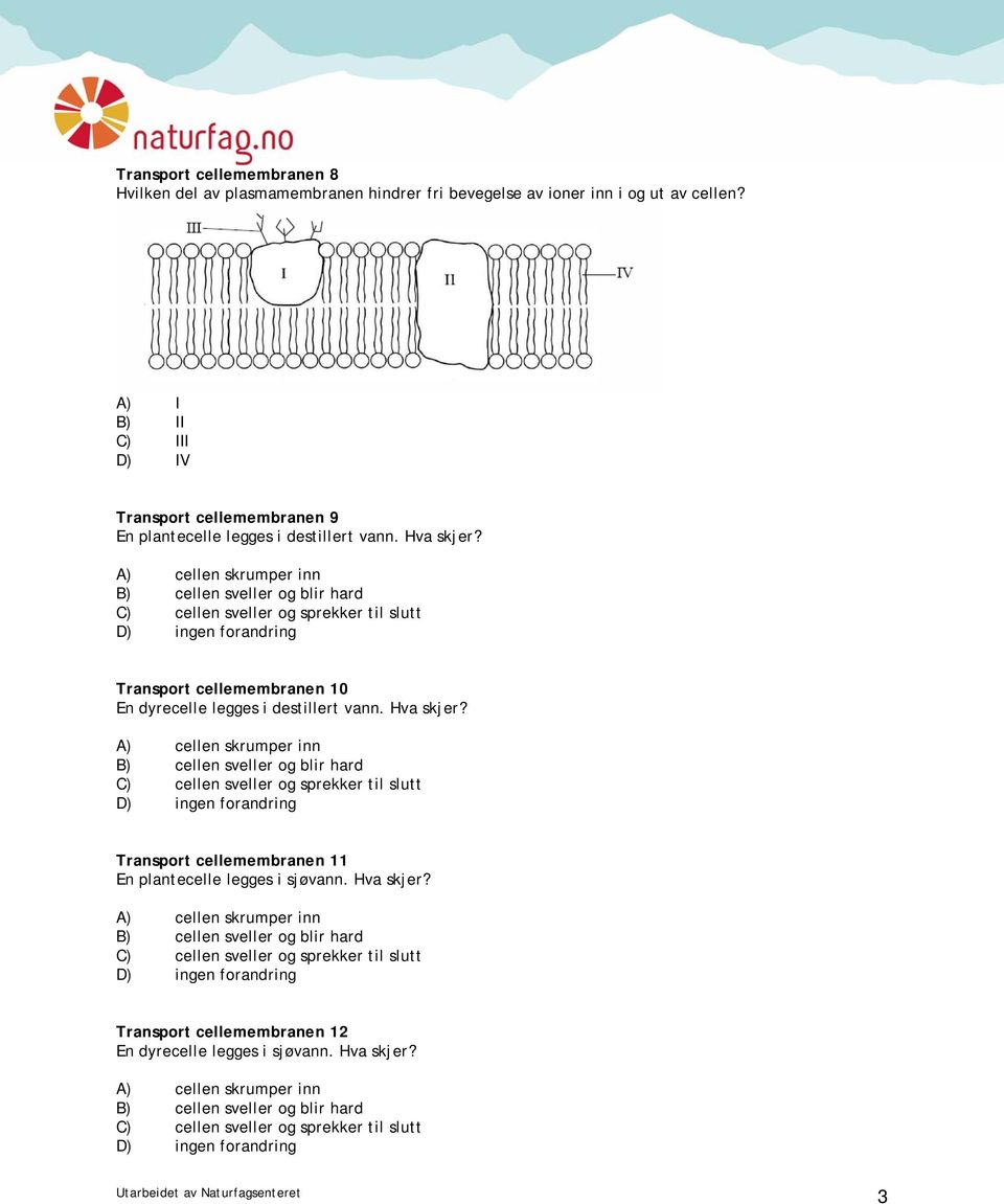Hva skjer? Transport cellemembranen 10 En dyrecelle legges i destillert vann. Hva skjer?
