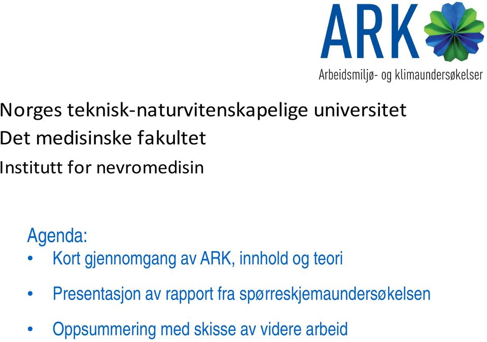 ARK, innhold og teori Gruppearbeid Presentasjon av rapport fra