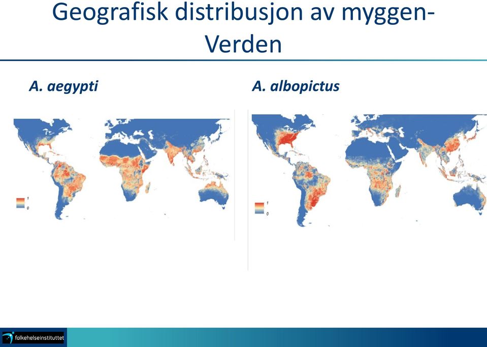 myggen- Verden A.