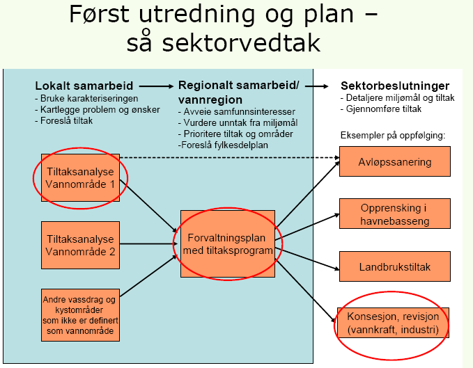 Sektormedvirkning og