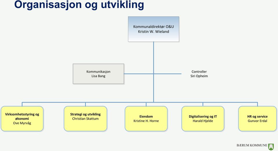 Virksomhetsstyring og økonomi Ove Myrvåg Strategi og utvikling