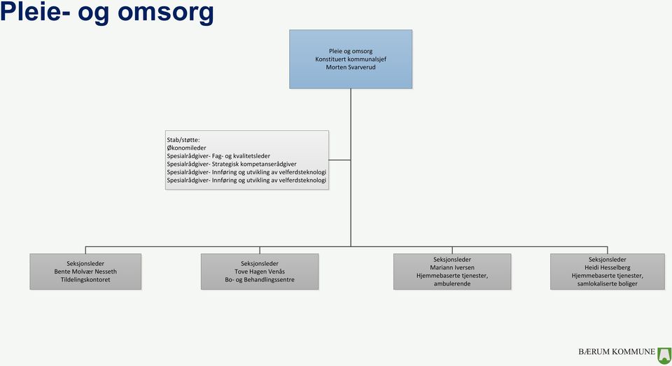 Spesialrådgiver- Innføring og utvikling av velferdsteknologi Bente Molvær Nesseth Tildelingskontoret Tove Hagen Venås Bo- og