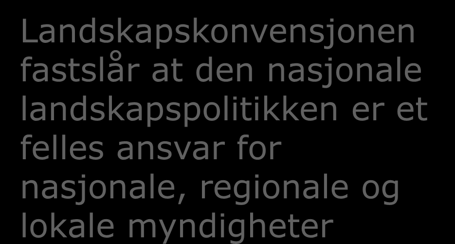 nasjonale landskapspolitikken er et