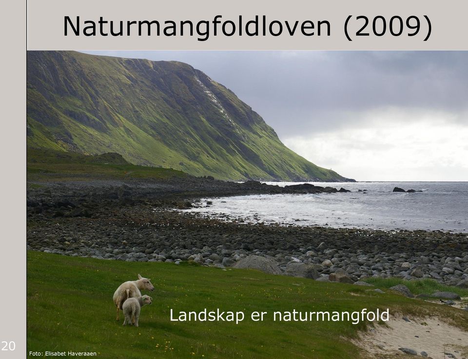 naturmangfold 20