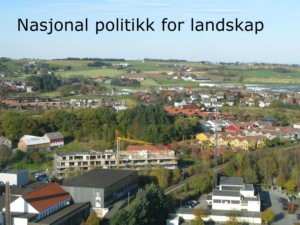 politikk