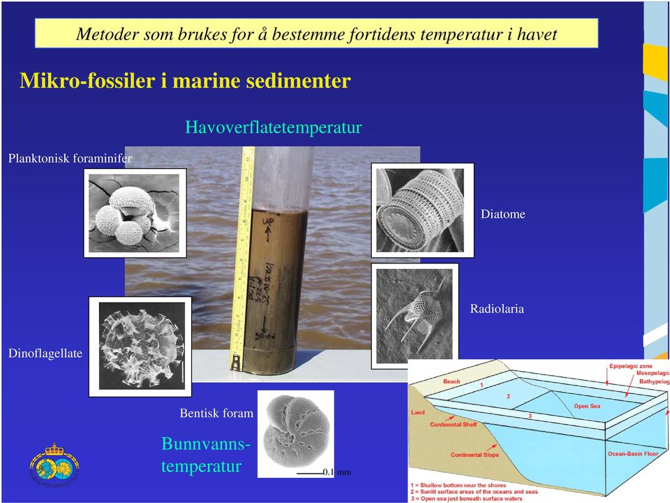 fortidens temperatur i havet Havoverflatetemperatur