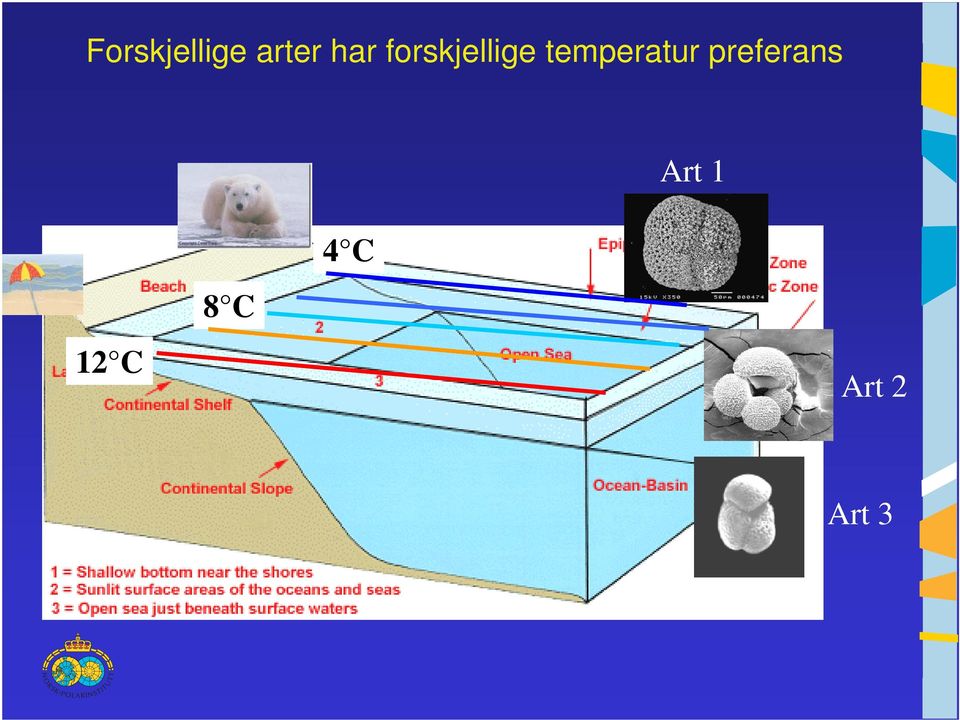 temperatur preferans