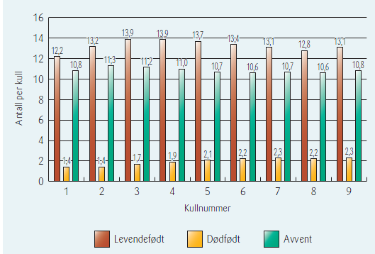 8. GRISUNGENE Antall levendefødte og tapsprosent i løpet av laktasjonsperioden er viktig faktorer for økonomien i smågrisproduksjonen. 8.