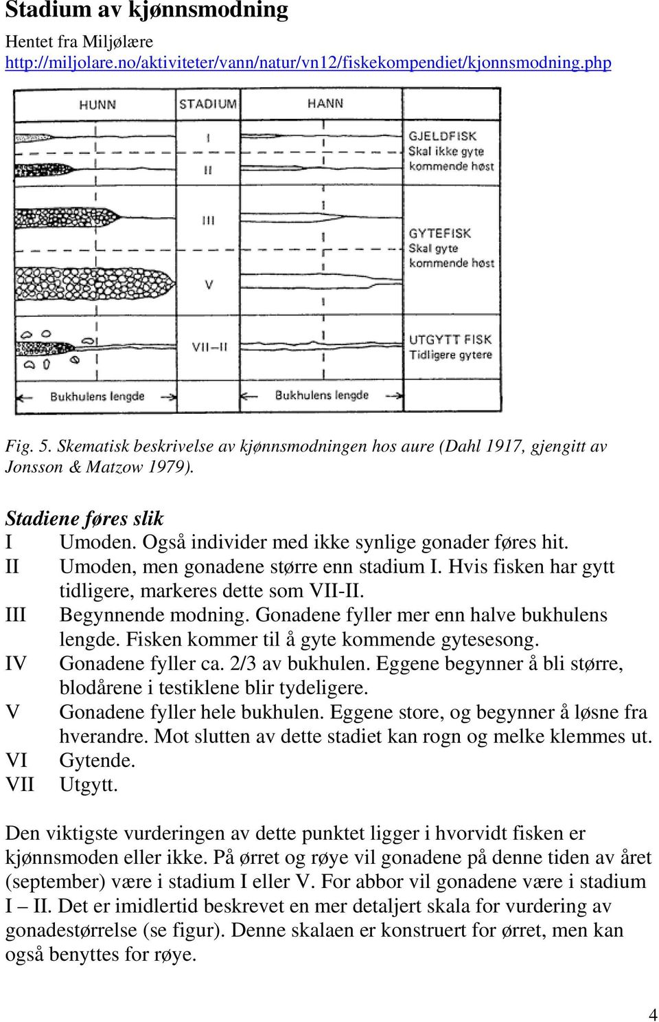 II Umoden, men gonadene større enn stadium I. Hvis fisken har gytt tidligere, markeres dette som VII-II. III Begynnende modning. Gonadene fyller mer enn halve bukhulens lengde.