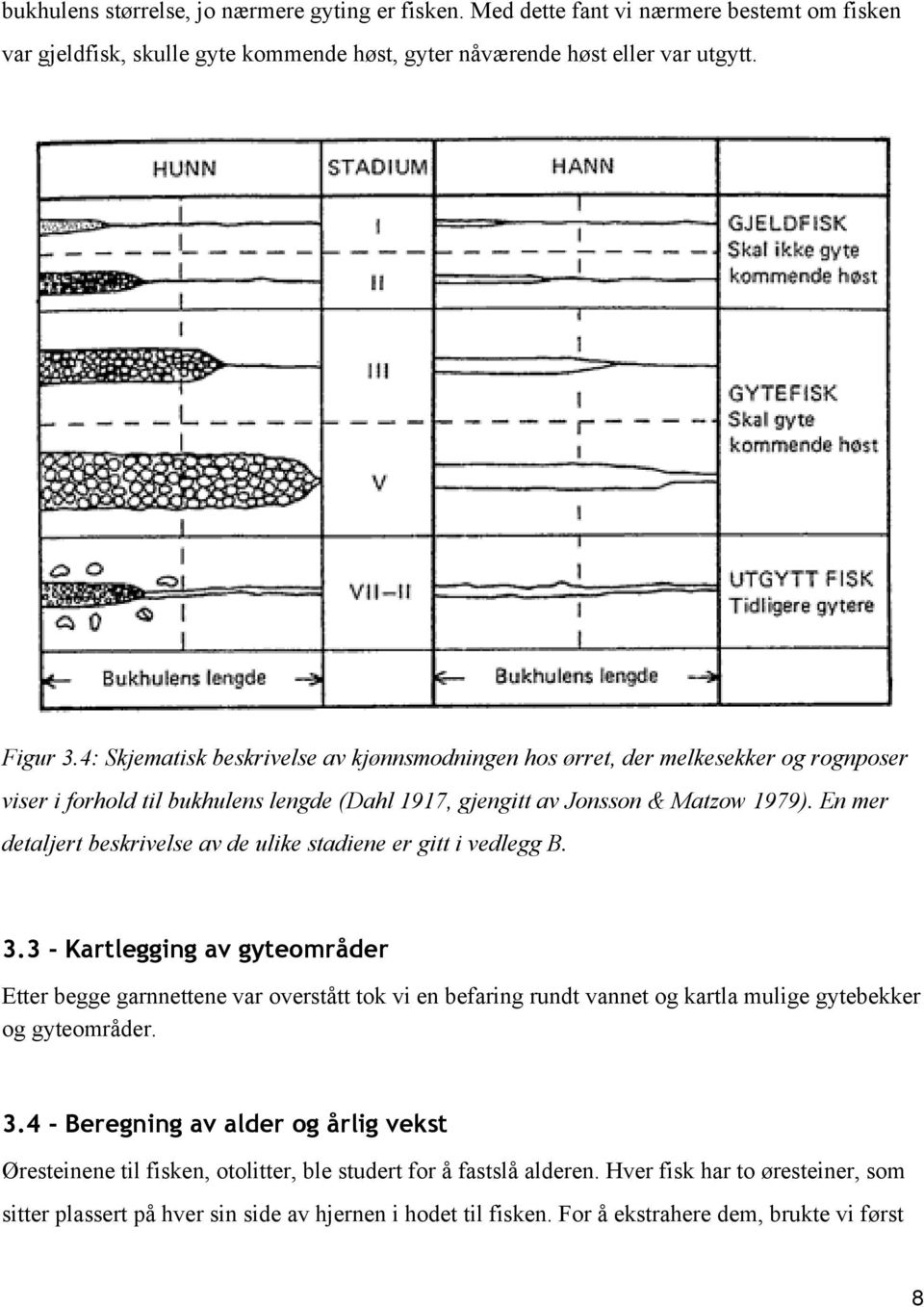 En mer detaljert beskrivelse av de ulike stadiene er gitt i vedlegg B. 3.