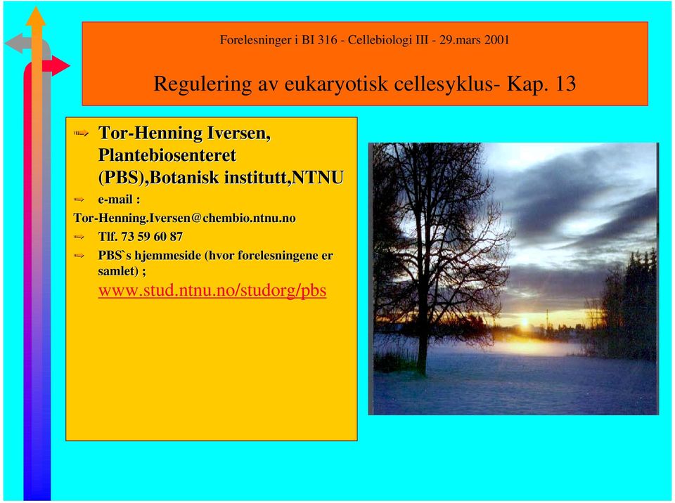 institutt,ntnu e-mail : Tor-Henning.Iversen@chembio.ntnu.no Tlf.