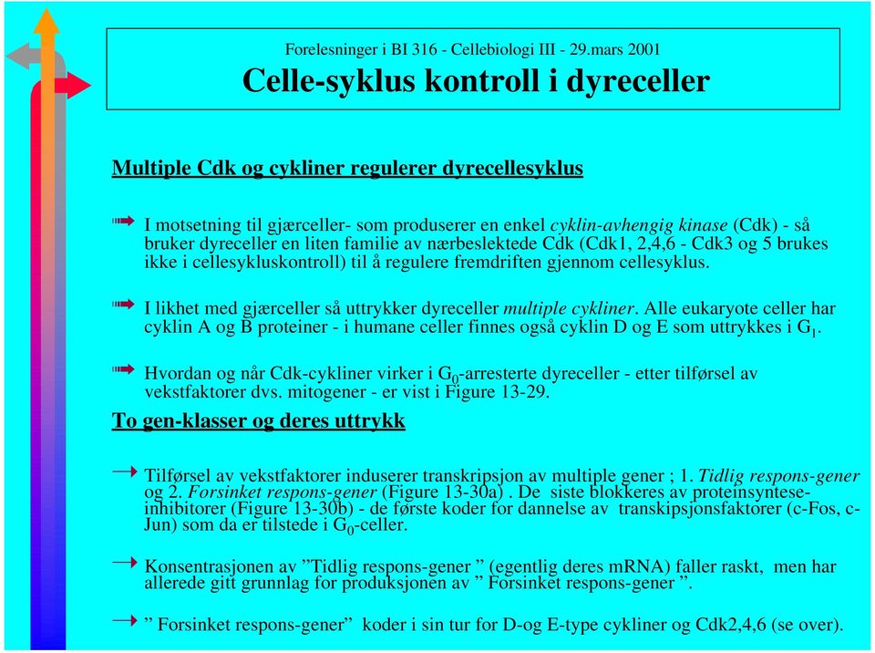 I likhet med gjærceller så uttrykker dyreceller multiple cykliner. Alle eukaryote celler har cyklin A og B proteiner - i humane celler finnes også cyklin D og E som uttrykkes i G 1.