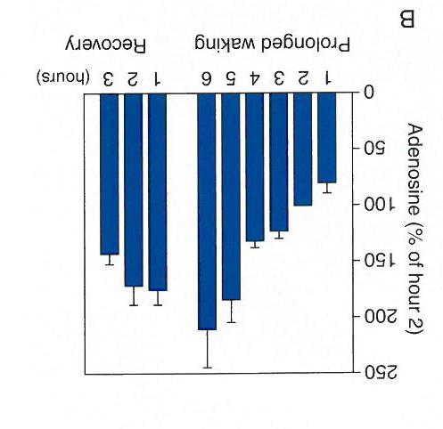 faktor (Adenosin opphoping)