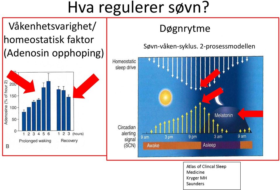 faktor (Adenosin opphoping)