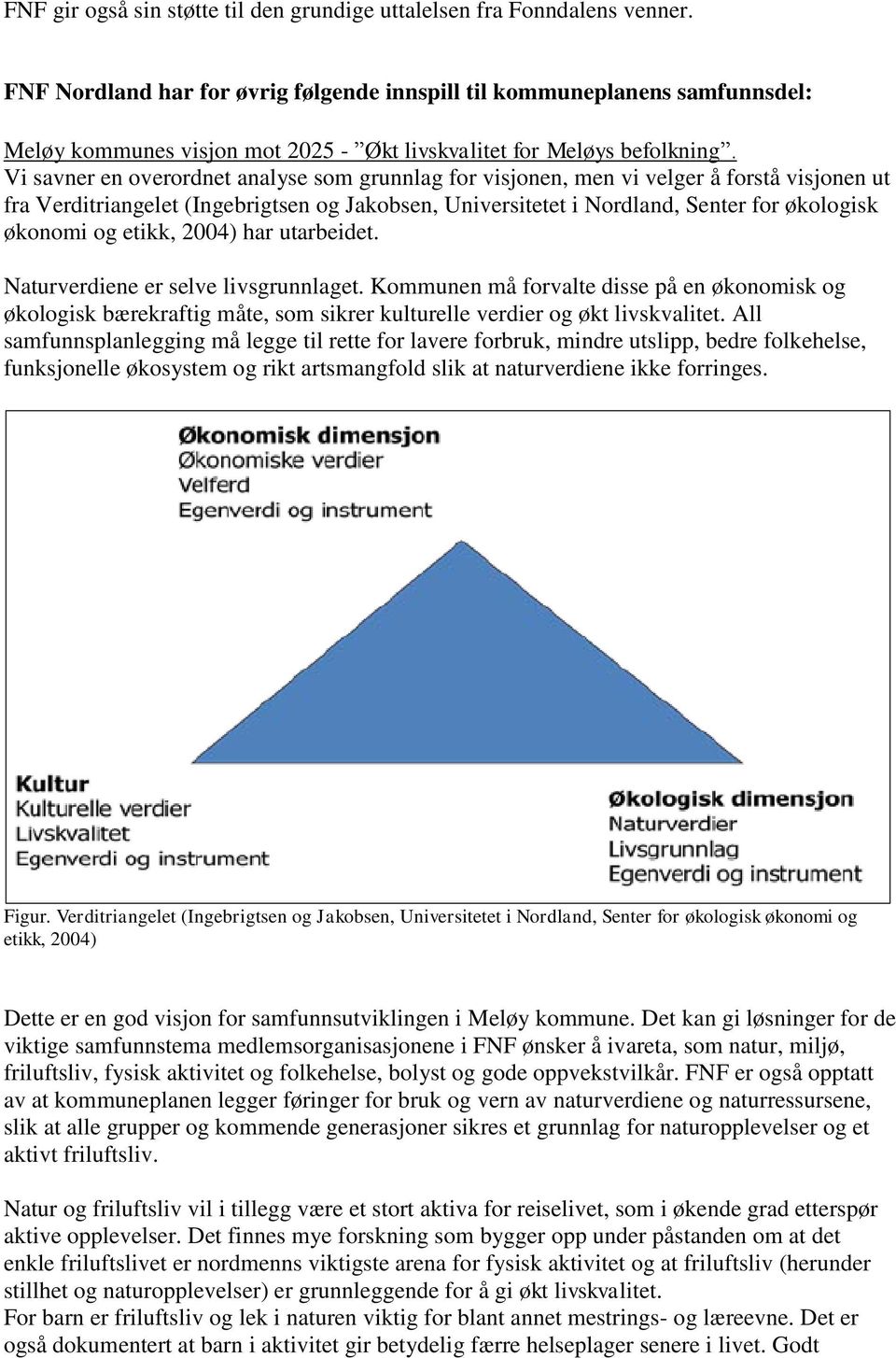 Vi savner en overordnet analyse som grunnlag for visjonen, men vi velger å forstå visjonen ut fra Verditriangelet (Ingebrigtsen og Jakobsen, Universitetet i Nordland, Senter for økologisk økonomi og