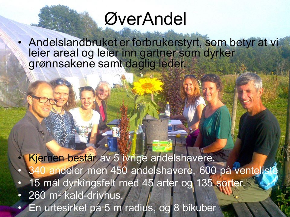 Kjernen består av 5 ivrige andelshavere.