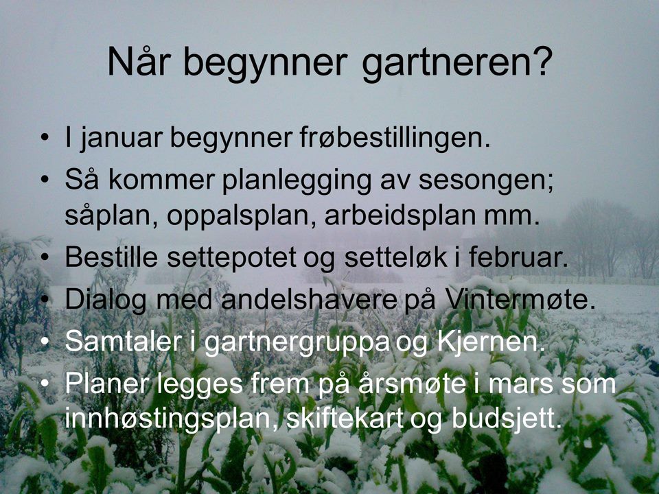 Bestille settepotet og setteløk i februar. Dialog med andelshavere på Vintermøte.