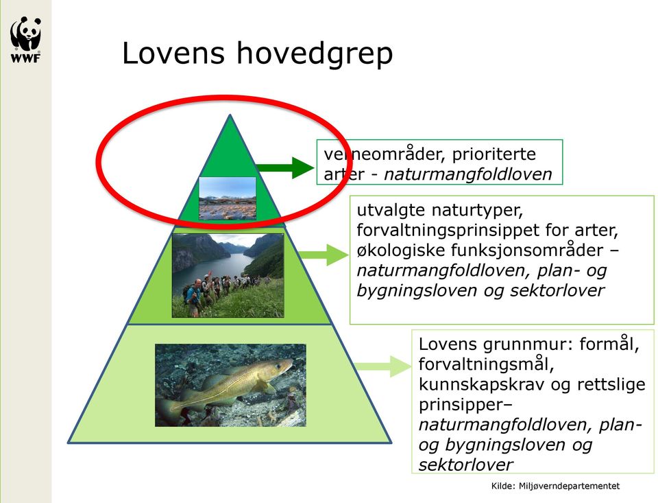 bygningsloven og sektorlover Lovens grunnmur: formål, forvaltningsmål, kunnskapskrav og