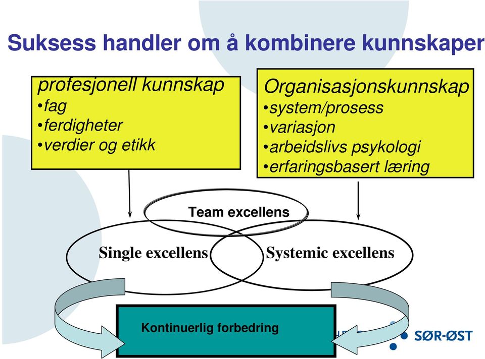 system/prosess variasjon arbeidslivs psykologi erfaringsbasert