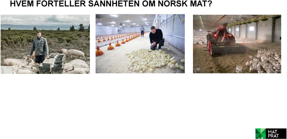 SANNHETEN