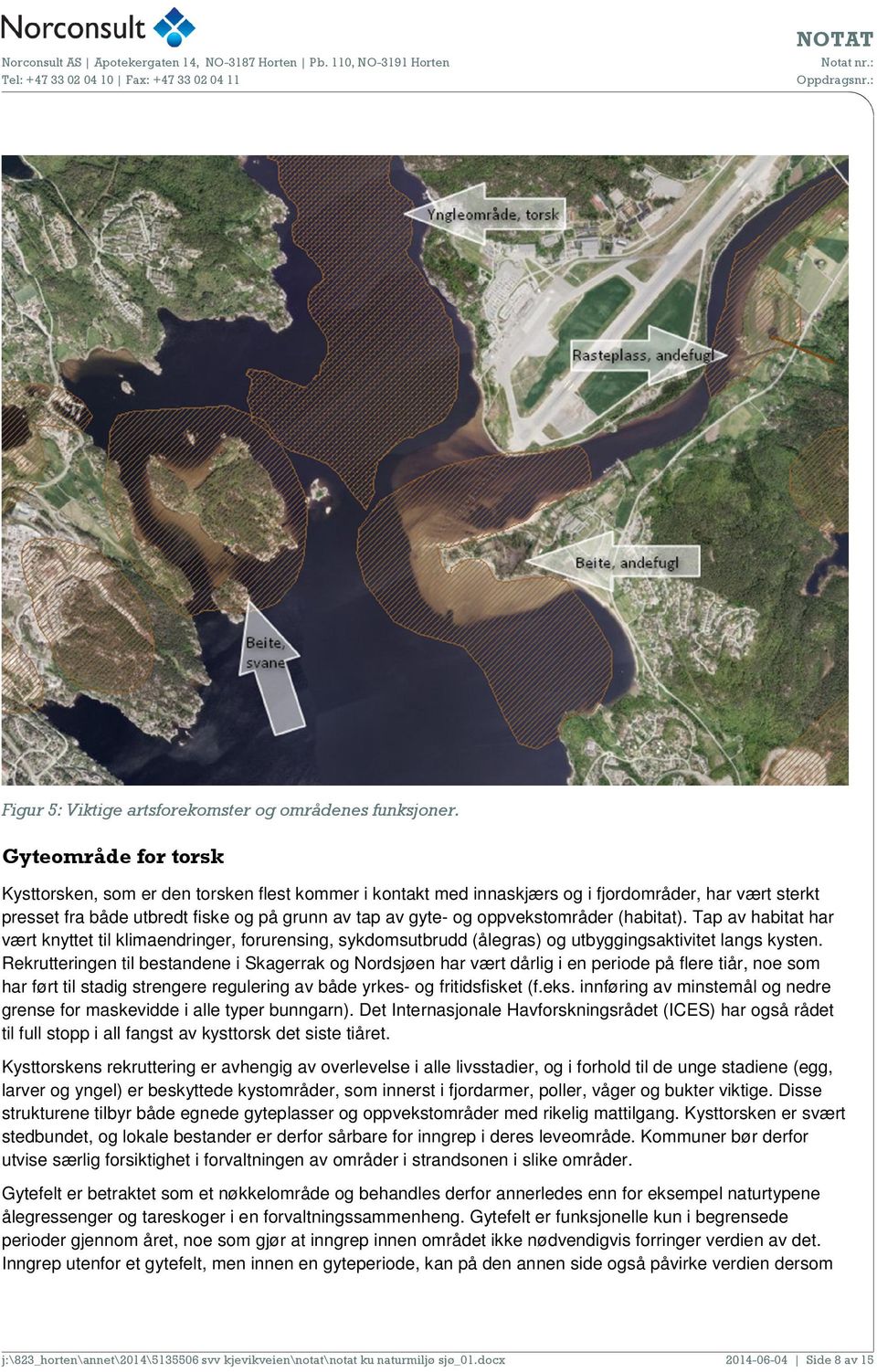 oppvekstområder (habitat). Tap av habitat har vært knyttet til klimaendringer, forurensing, sykdomsutbrudd (ålegras) og utbyggingsaktivitet langs kysten.