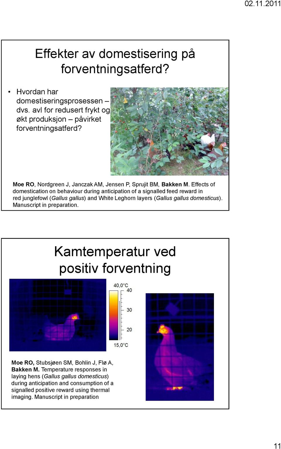 Effects of domestication on behaviour during anticipation of a signalled feed reward in red junglefowl (Gallus gallus) and White Leghorn layers (Gallus gallus domesticus).