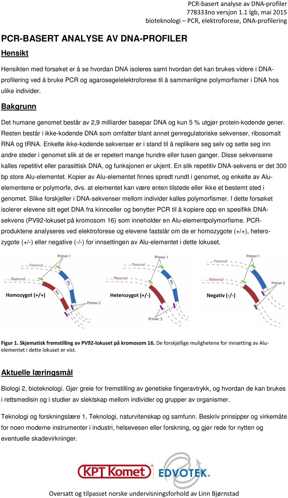 Resten består i ikke-kodende DNA som omfatter blant annet genregulatoriske sekvenser, ribosomalt RNA og trna.