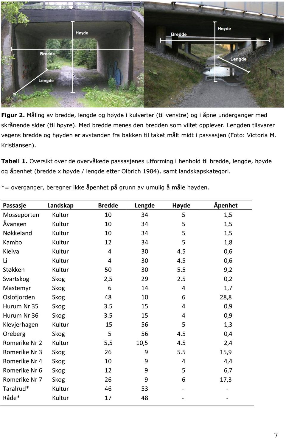 Oversikt over de overvåkede passasjenes utforming i henhold til bredde, lengde, høyde og åpenhet (bredde x høyde / lengde etter Olbrich 1984), samt landskapskategori.